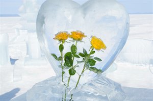 «Лед и пламя»- фестиваль ледяных фигур- цветы во льду