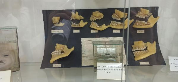 Уникальные экспонаты анатомического музея