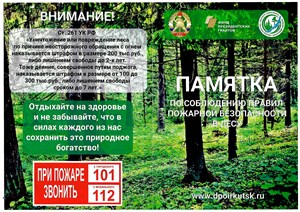 Картинка 2